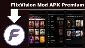 كيفية تحميل وتثبيت Flix Vision V3